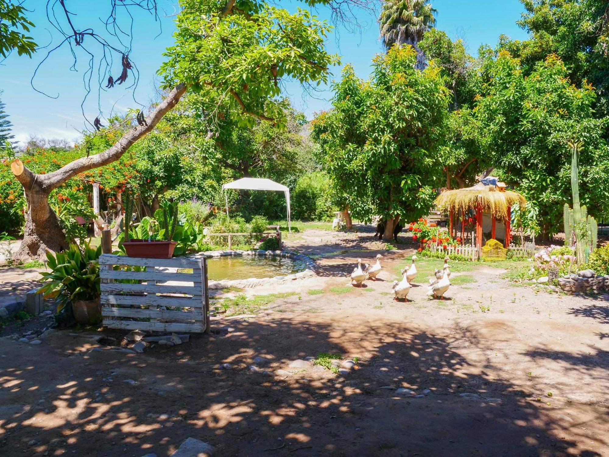Alojamiento Rural Casa Quinta Peumayen Isla de Maipo Eksteriør bilde