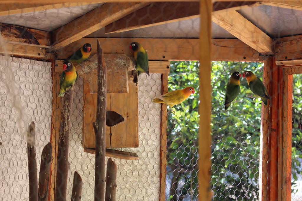 Alojamiento Rural Casa Quinta Peumayen Isla de Maipo Eksteriør bilde