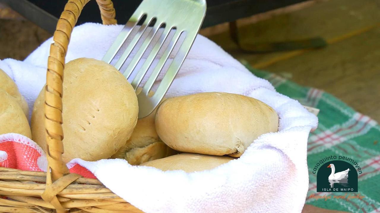 Alojamiento Rural Casa Quinta Peumayen Isla de Maipo Eksteriør bilde