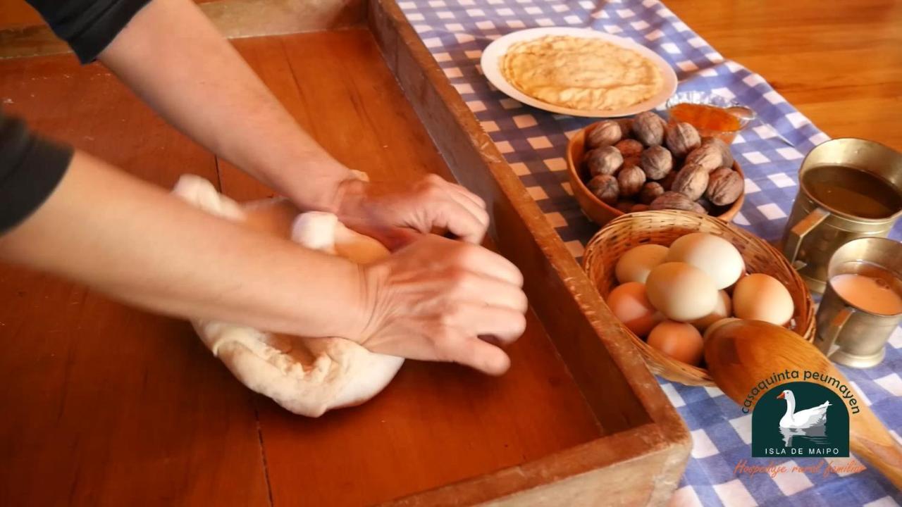 Alojamiento Rural Casa Quinta Peumayen Isla de Maipo Eksteriør bilde